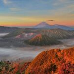 Bromo